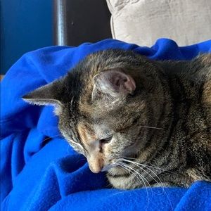 Meet your Posher, Rebecca